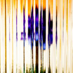 Illuminated Layers - Photographs>Other - 2025 - Iren Ivanova