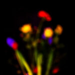 Luminous Echoes - Photographs>Other - 2024 - Iren Ivanova