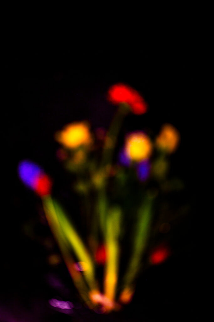 Luminous Echoes - Photographs>Other - 2024 - Iren Ivanova