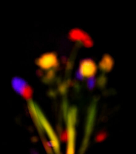 Luminous Echoes - Photographs>Other - 2024 - Iren Ivanova