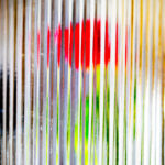 Reflections in Motion - Photographs>Other - 2025 - Iren Ivanova