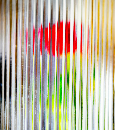 Reflections in Motion - Photographs>Other - 2025 - Iren Ivanova
