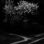 Photographic Observations #1 - Photographs>Photographic Observations - 2025 - Iren Ivanova
