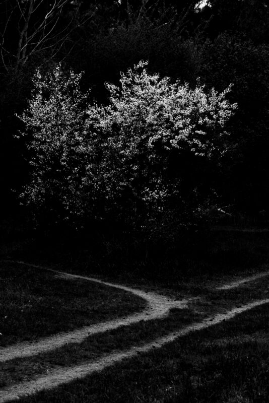 Photographic Observations #1 - Photographs>Photographic Observations - 2025 - Iren Ivanova
