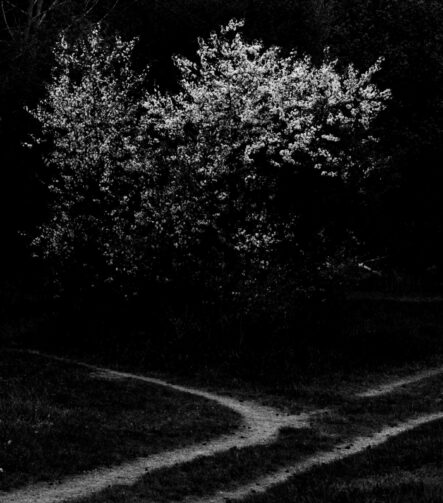 Photographic Observations #1 - Photographs>Photographic Observations - 2025 - Iren Ivanova