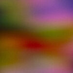 Afterimage #10 - Photographs>Afterimage - 2026 - Iren Ivanova