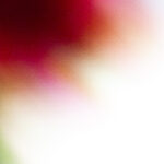 Afterimage #11 - Photographs>Afterimage - 2026 - Iren Ivanova