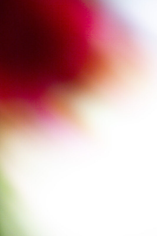 Afterimage #11 - Photographs>Afterimage - 2026 - Iren Ivanova