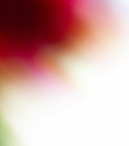 Afterimage #11 - Photographs>Afterimage - 2026 - Iren Ivanova