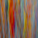 Afterimage #12 - Photographs>Afterimage - 2026 - Iren Ivanova