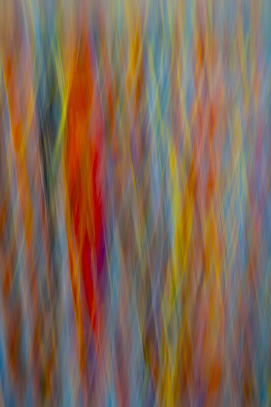 Afterimage #12 - Photographs>Afterimage - 2026 - Iren Ivanova