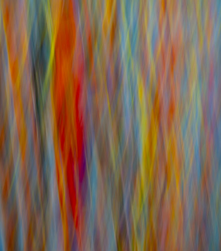 Afterimage #12 - Photographs>Afterimage - 2026 - Iren Ivanova