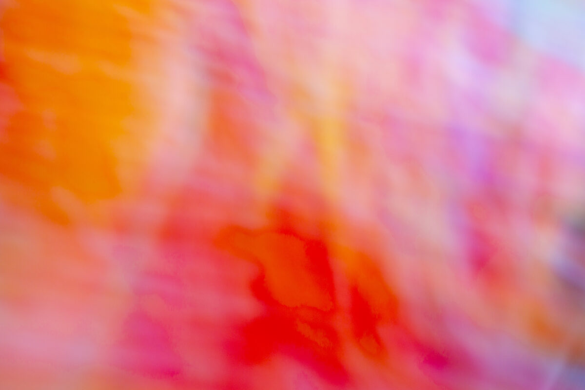 Afterimage #13 - Photographs>Afterimage - 2026 - Iren Ivanova