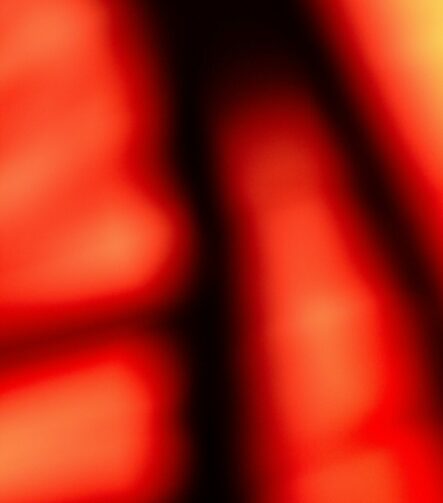 Afterimage #14 - Photographs>Afterimage - 2026 - Iren Ivanova