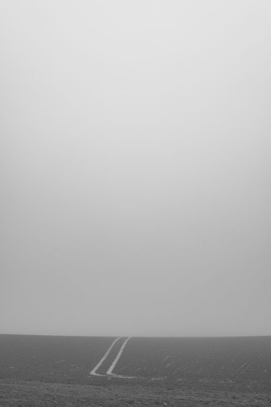 Photographic Observations # - Photographs>Photographic Observations - 2025 - Iren Ivanova