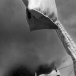 Photographic Observations #7 - Photographs>Photographic Observations - 2025 - Iren Ivanova