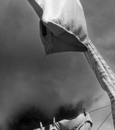 Photographic Observations #7 - Photographs>Photographic Observations - 2025 - Iren Ivanova