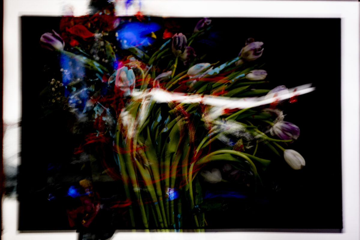 Aiksab #1 - Photographs>Aiksab - 2026 - Iren Ivanova