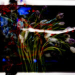 Aiksab #1 - Photographs>Aiksab - 2026 - Iren Ivanova