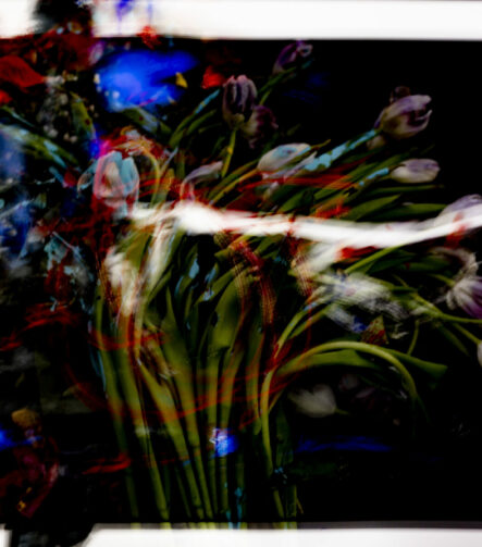 Aiksab #1 - Photographs>Aiksab - 2026 - Iren Ivanova