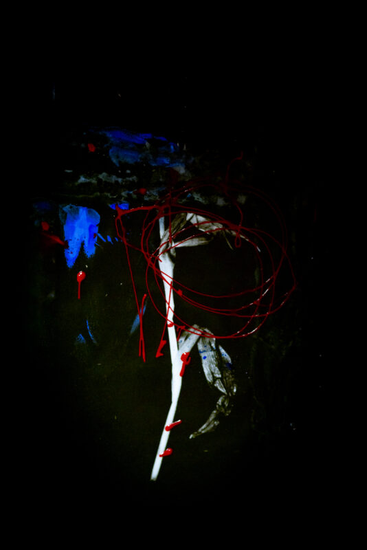 Aiksab #2 - Photographs>Aiksab - 2026 - Iren Ivanova