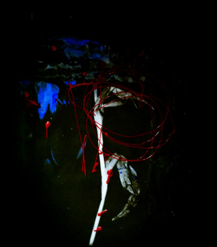 Aiksab #2 - Photographs>Aiksab - 2026 - Iren Ivanova