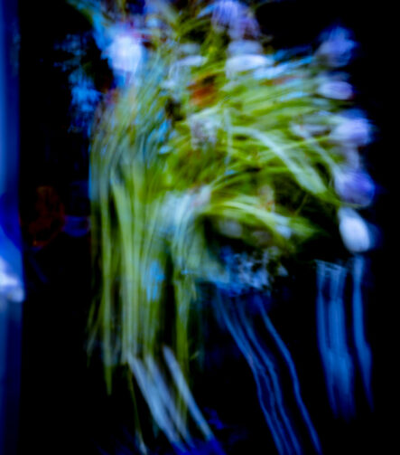 Aiksab #8 - Photographs>Aiksab - 2026 - Iren Ivanova