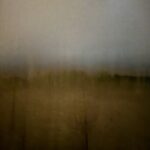 Field #1 - Photographs>Field - 2026 - Iren Ivanova