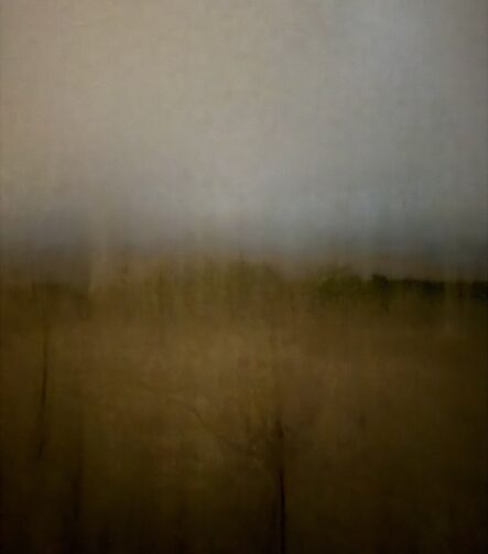 Field #1 - Photographs>Field - 2026 - Iren Ivanova
