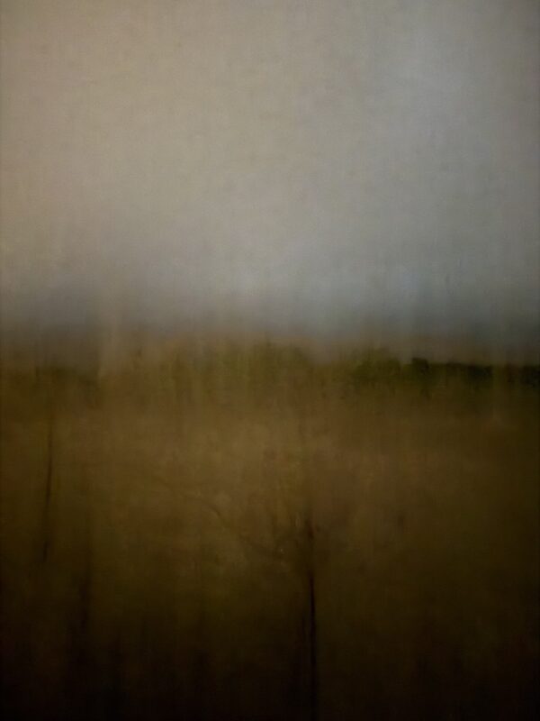 Field #1 - Photographs>Field - 2026 - Iren Ivanova
