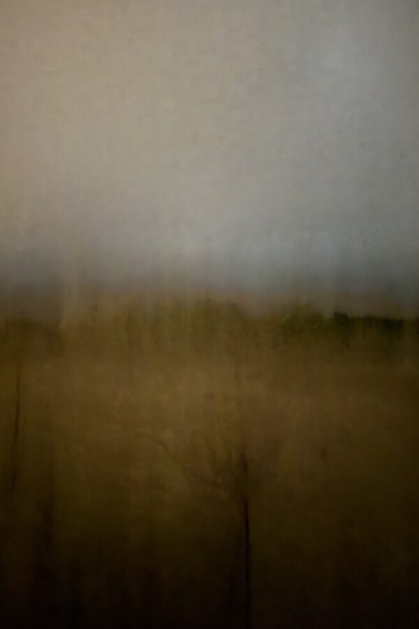 Field #1 - Photographs>Field - 2026 - Iren Ivanova