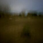 Field #11 - Photographs>Field - 2026 - Iren Ivanova