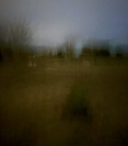 Field #11 - Photographs>Field - 2026 - Iren Ivanova