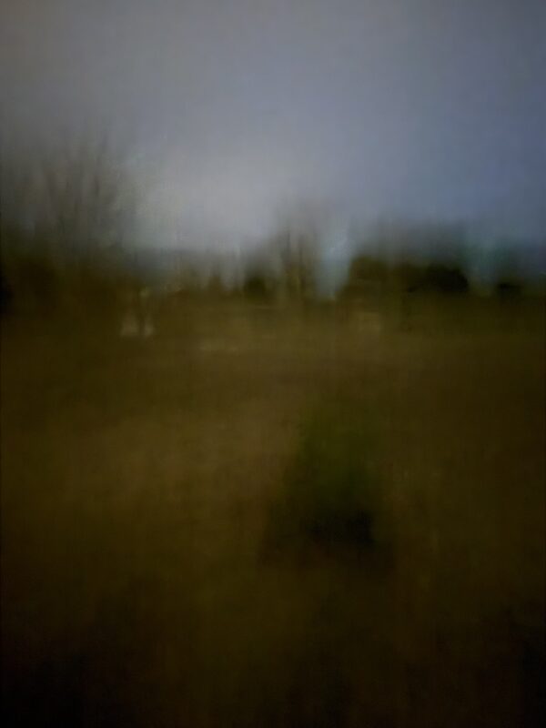 Field #11 - Photographs>Field - 2026 - Iren Ivanova