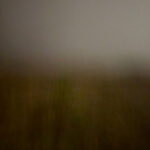Field #13 - Photographs>Field - 2026 - Iren Ivanova