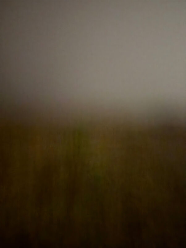 Field #13 - Photographs>Field - 2026 - Iren Ivanova