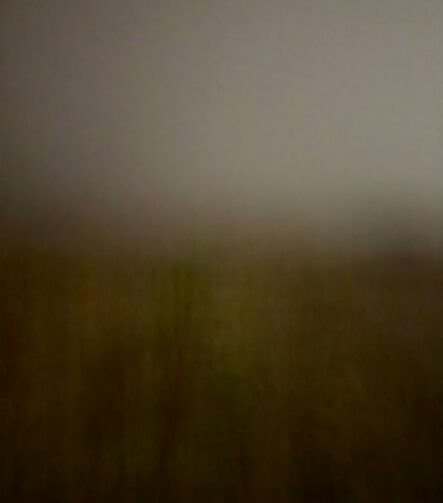 Field #13 - Photographs>Field - 2026 - Iren Ivanova