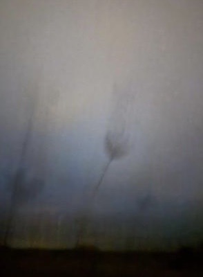 Field #2 - Photographs>Field - 2026 - Iren Ivanova