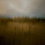 Field #3 - Photographs>Field - 2026 - Iren Ivanova