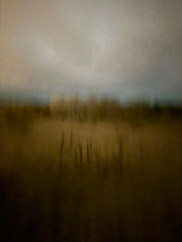 Field #3 - Photographs>Field - 2026 - Iren Ivanova