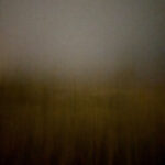 Field #5 - Photographs>Field - 2026 - Iren Ivanova