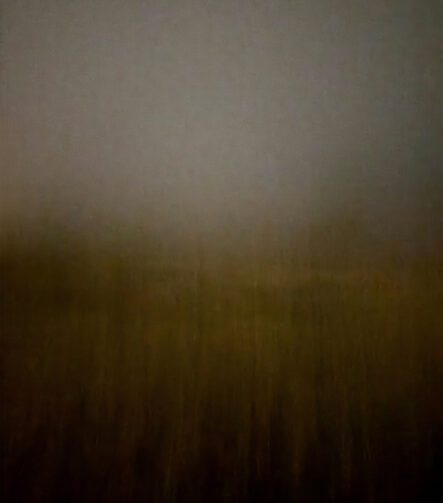 Field #5 - Photographs>Field - 2026 - Iren Ivanova