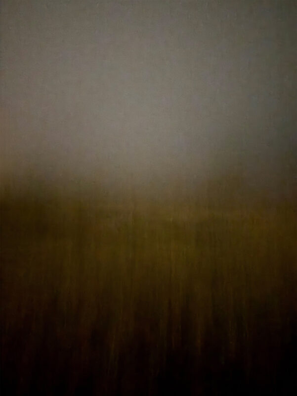 Field #5 - Photographs>Field - 2026 - Iren Ivanova