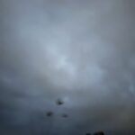 Field #6 - Photographs>Field - 2026 - Iren Ivanova