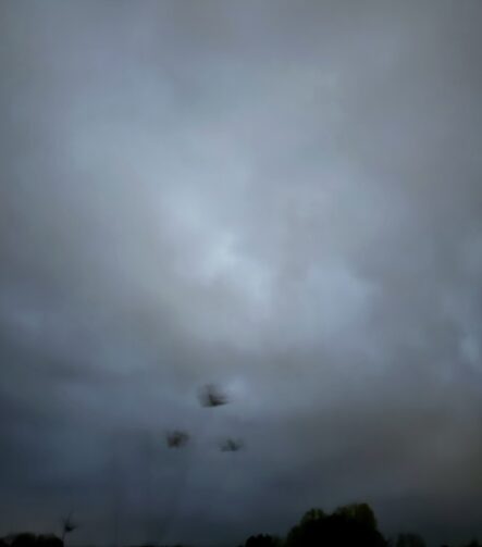 Field #6 - Photographs>Field - 2026 - Iren Ivanova