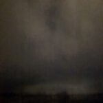 Field #7 - Photographs>Field - 2026 - Iren Ivanova