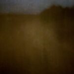 Field #8 - Photographs>Field - 2026 - Iren Ivanova