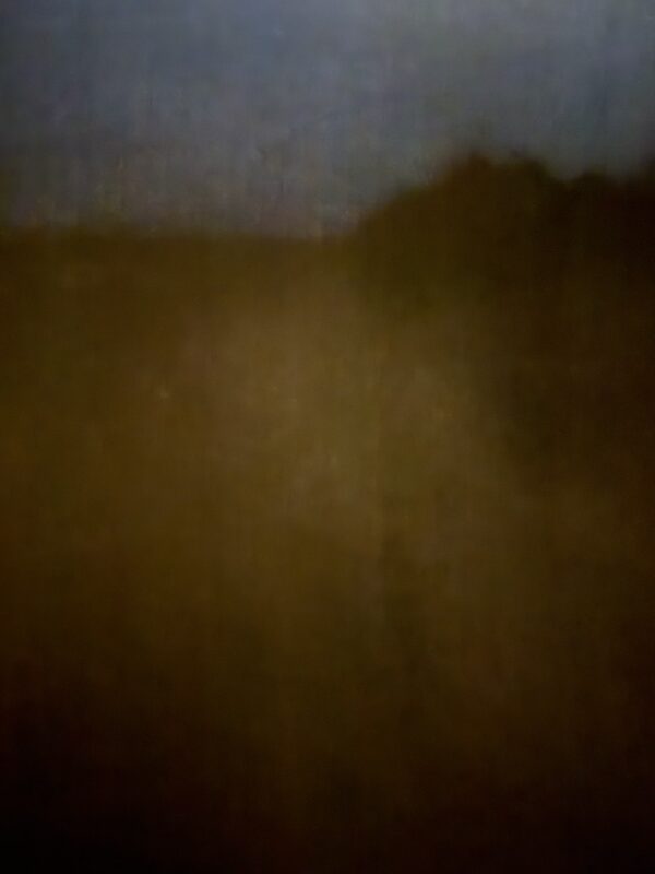 Field #8 - Photographs>Field - 2026 - Iren Ivanova