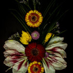 Floral Balance #1 - Photographs>Floral Balance - 2025 - Iren Ivanova