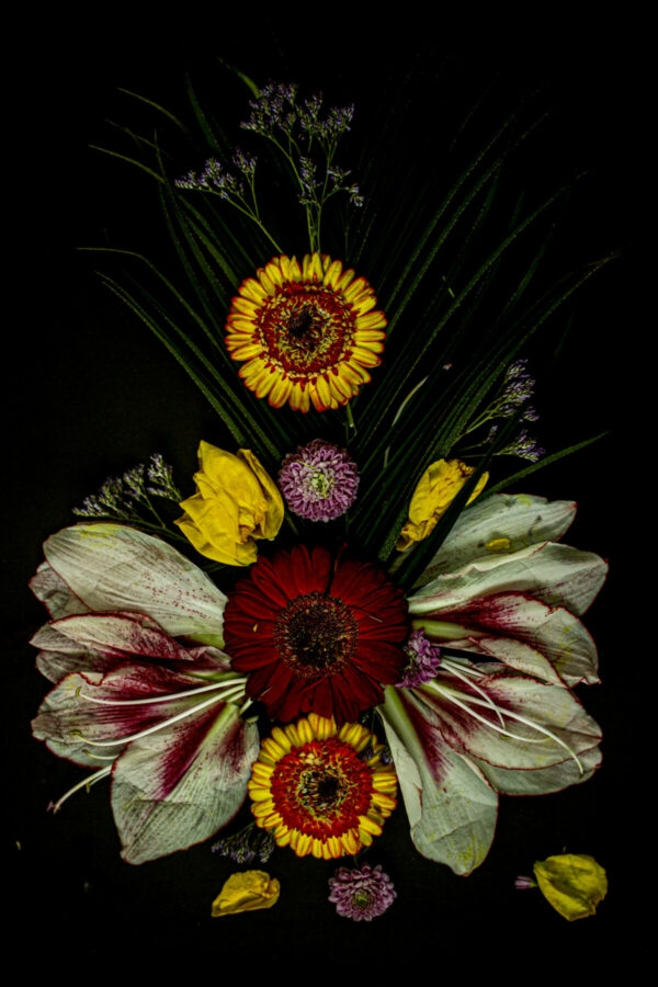 Floral Balance #1 - Photographs>Floral Balance - 2025 - Iren Ivanova